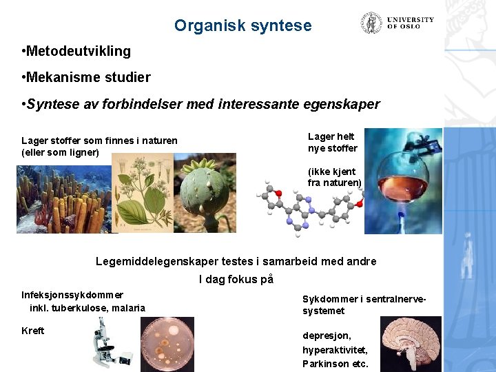 Organisk syntese • Metodeutvikling • Mekanisme studier • Syntese av forbindelser med interessante egenskaper