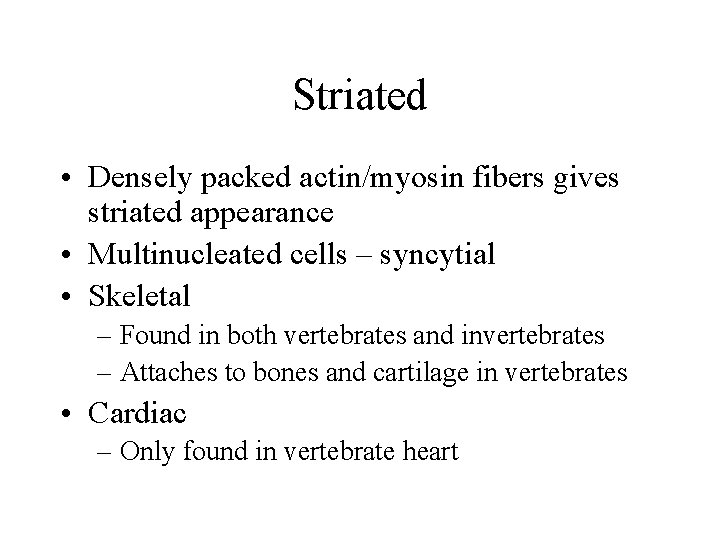 Striated • Densely packed actin/myosin fibers gives striated appearance • Multinucleated cells – syncytial