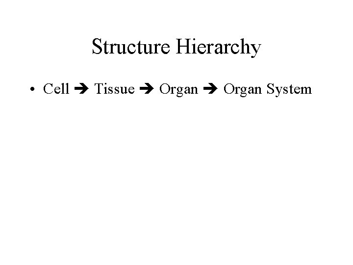 Structure Hierarchy • Cell Tissue Organ System 