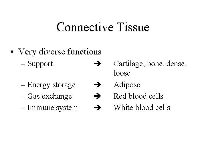 Connective Tissue • Very diverse functions – Support – Energy storage – Gas exchange