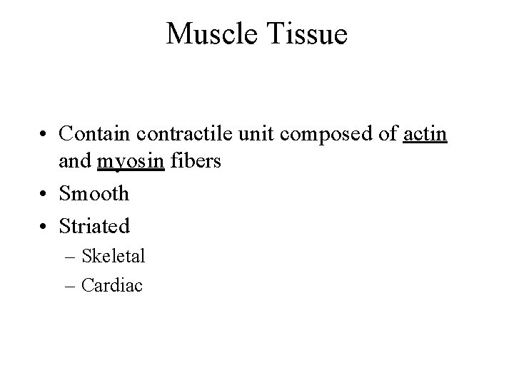 Muscle Tissue • Contain contractile unit composed of actin and myosin fibers • Smooth