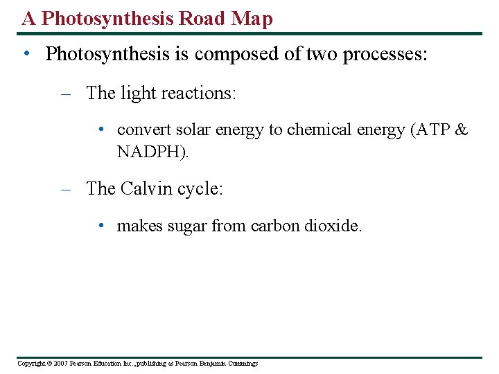 A Photosynthesis Road Map • Photosynthesis is composed of two processes: – The light