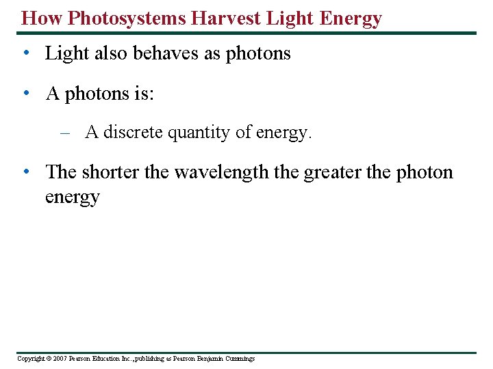 How Photosystems Harvest Light Energy • Light also behaves as photons • A photons