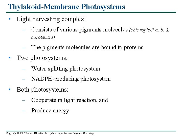 Thylakoid-Membrane Photosystems • Light harvesting complex: – Consists of various pigments molecules (chlorophyll a,