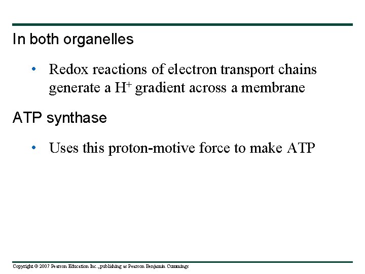 In both organelles • Redox reactions of electron transport chains generate a H+ gradient