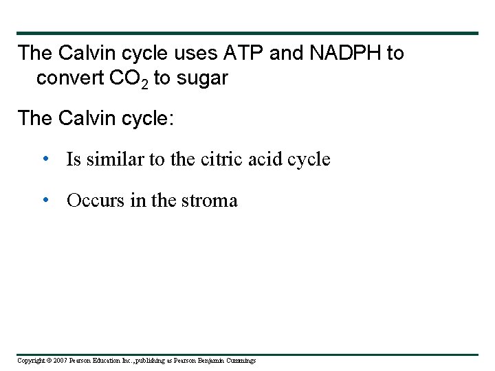 The Calvin cycle uses ATP and NADPH to convert CO 2 to sugar The