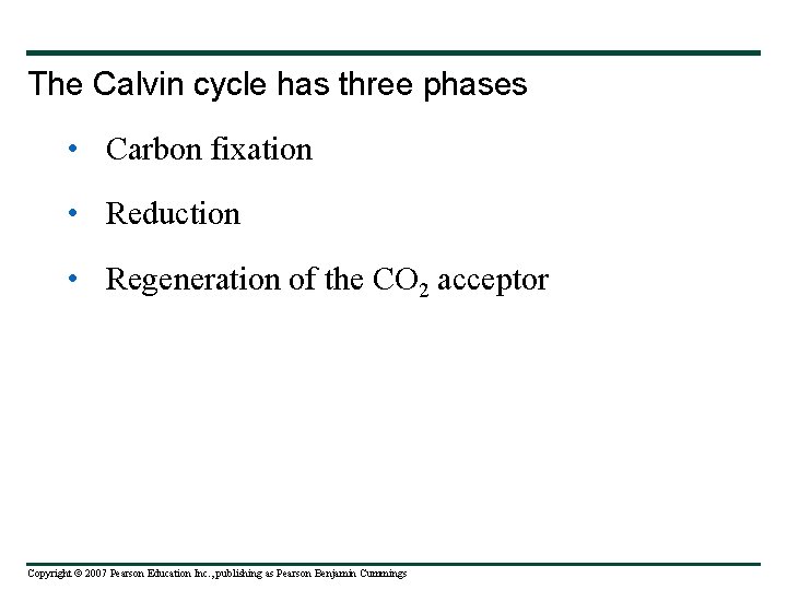 The Calvin cycle has three phases • Carbon fixation • Reduction • Regeneration of