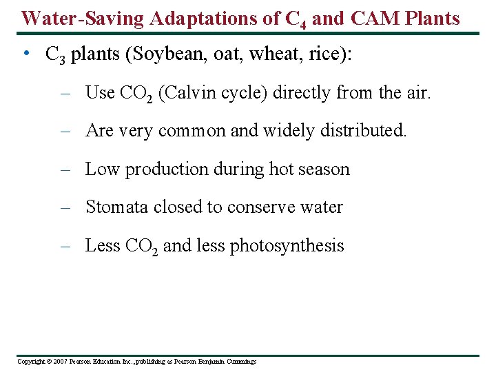 Water-Saving Adaptations of C 4 and CAM Plants • C 3 plants (Soybean, oat,