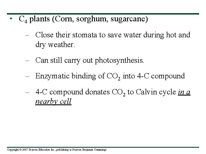  • C 4 plants (Corn, sorghum, sugarcane) – Close their stomata to save