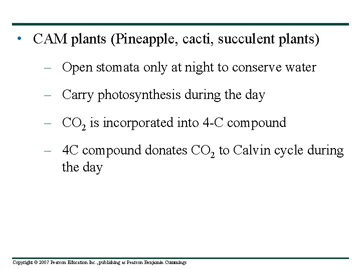  • CAM plants (Pineapple, cacti, succulent plants) – Open stomata only at night
