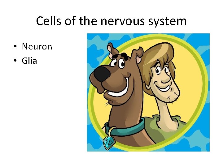 Cells of the nervous system • Neuron • Glia 