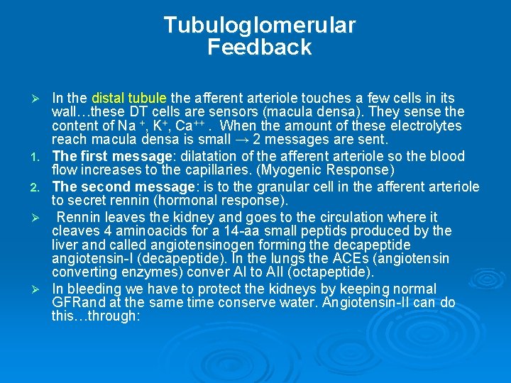 Tubuloglomerular Feedback Ø 1. 2. Ø Ø In the distal tubule the afferent arteriole