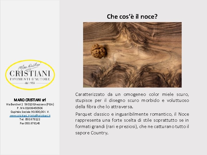 Che cos’è il noce? MARO CRISTIANI srl Via Berchet 2 56010 Ghezzano (PISA) P.