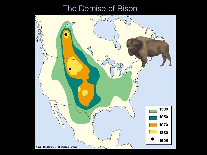 The Demise of Bison 1500 1850 1870 1880 1906 