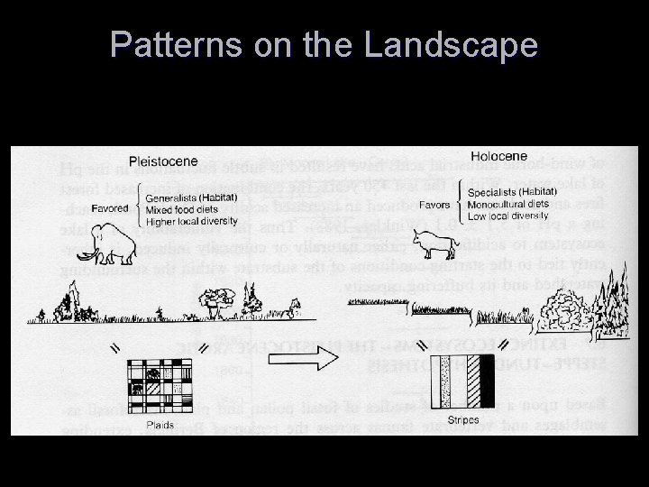 Patterns on the Landscape 