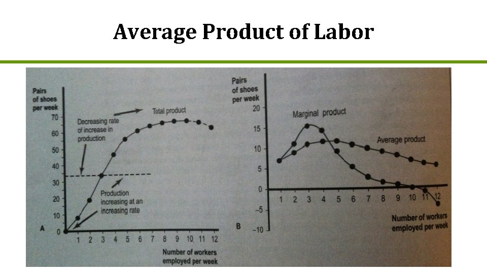 Average Product of Labor 