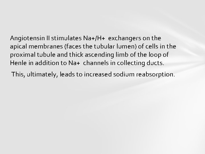 Angiotensin II stimulates Na+/H+ exchangers on the apical membranes (faces the tubular lumen) of
