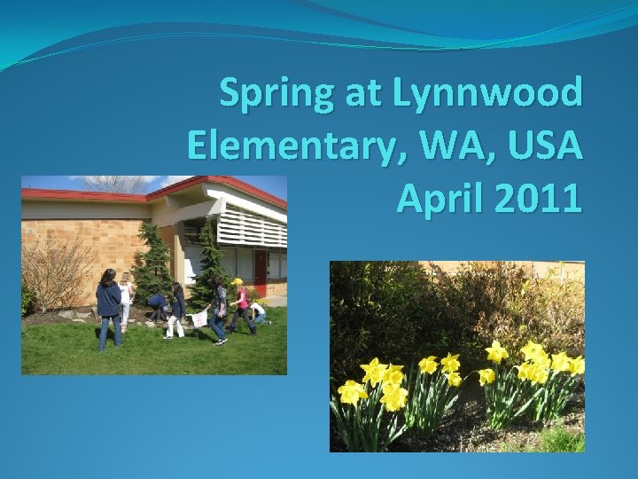 Spring at Lynnwood Elementary, WA, USA April 2011 