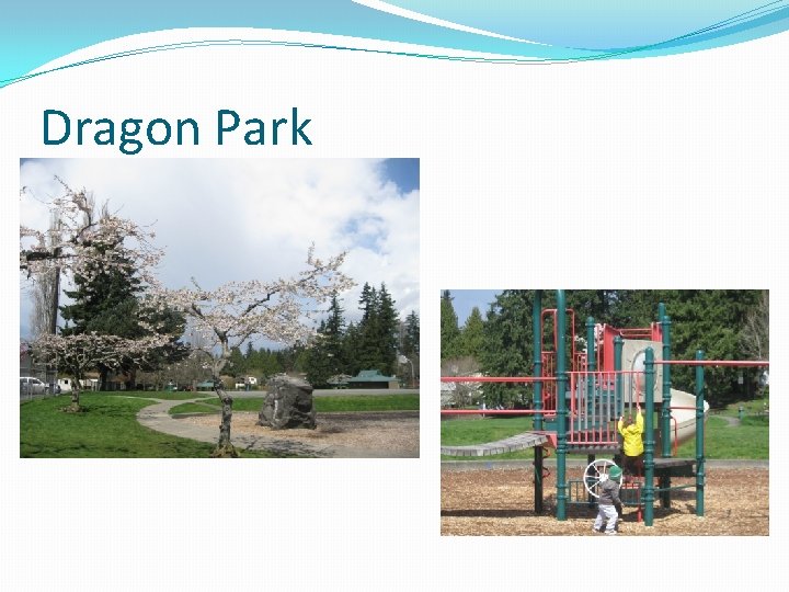 Dragon Park 