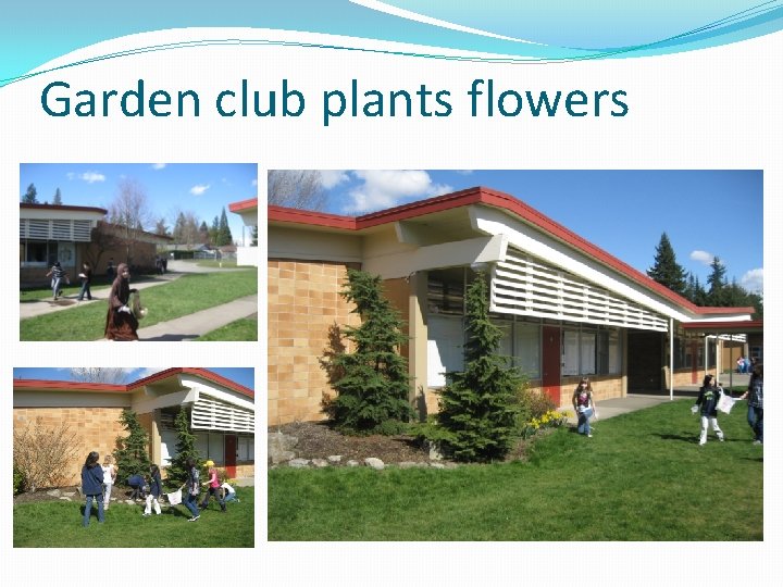 Garden club plants flowers 