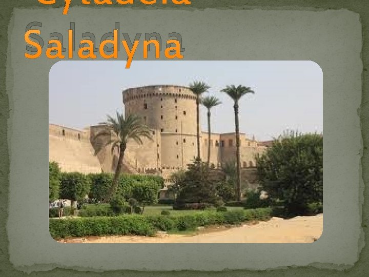 Saladyna 