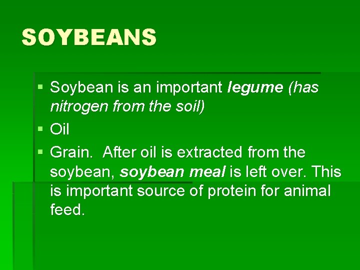 SOYBEANS § Soybean is an important legume (has nitrogen from the soil) § Oil