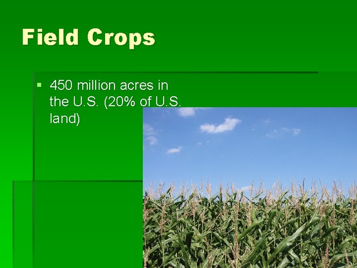 Field Crops § 450 million acres in the U. S. (20% of U. S.