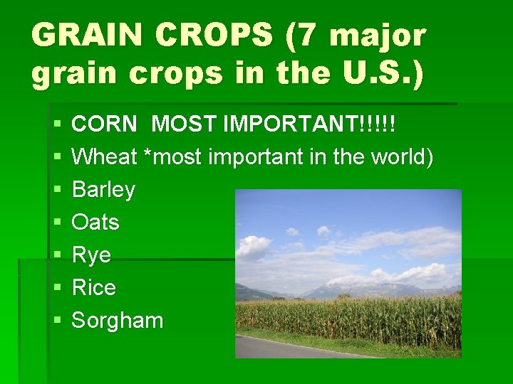 GRAIN CROPS (7 major grain crops in the U. S. ) § § §