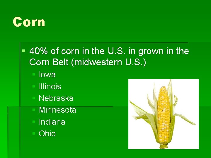 Corn § 40% of corn in the U. S. in grown in the Corn