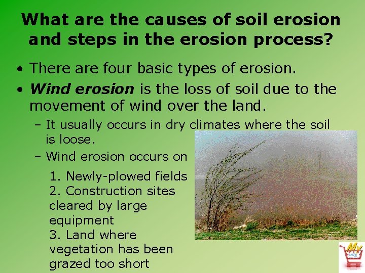 What are the causes of soil erosion and steps in the erosion process? •