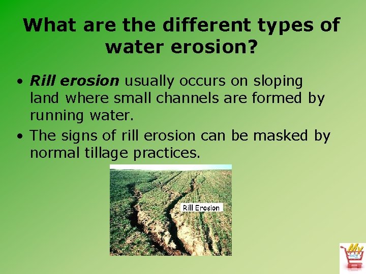 What are the different types of water erosion? • Rill erosion usually occurs on