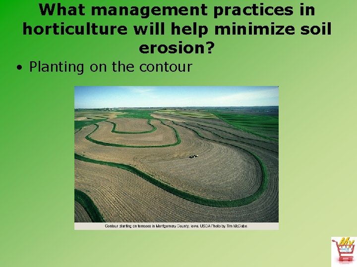 What management practices in horticulture will help minimize soil erosion? • Planting on the