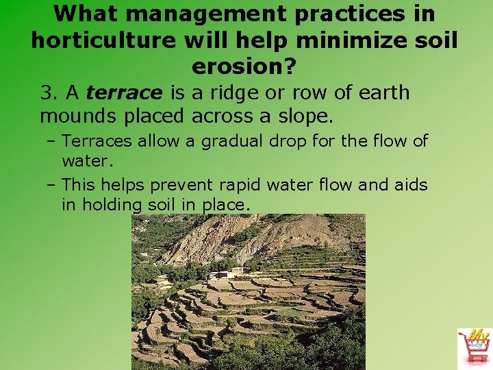 What management practices in horticulture will help minimize soil erosion? 3. A terrace is