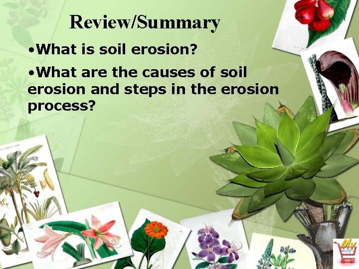 Review/Summary • What is soil erosion? • What are the causes of soil erosion