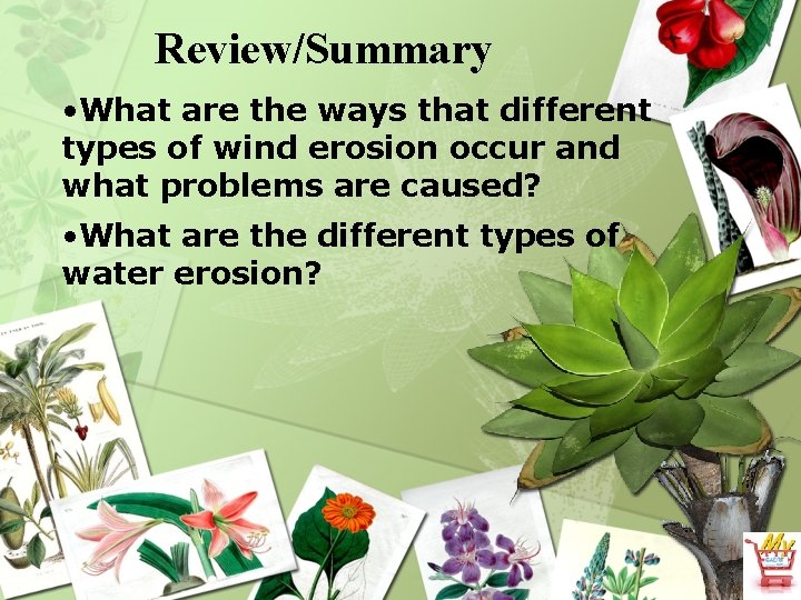 Review/Summary • What are the ways that different types of wind erosion occur and