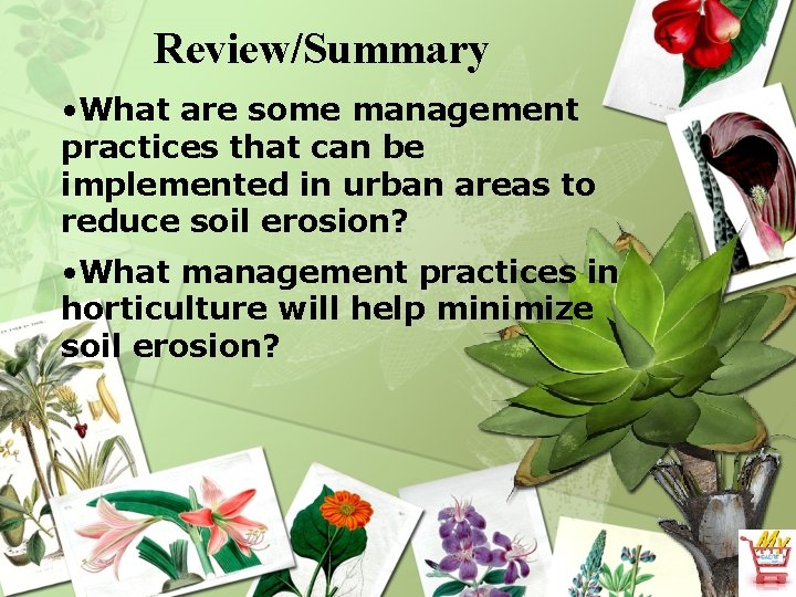 Review/Summary • What are some management practices that can be implemented in urban areas
