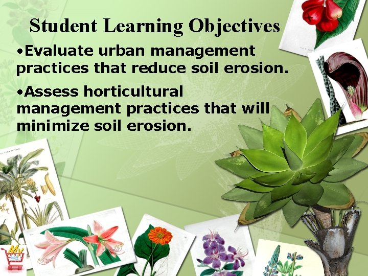 Student Learning Objectives • Evaluate urban management practices that reduce soil erosion. • Assess