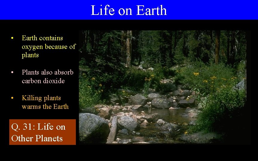 Life on Earth • Earth contains oxygen because of plants • Plants also absorb