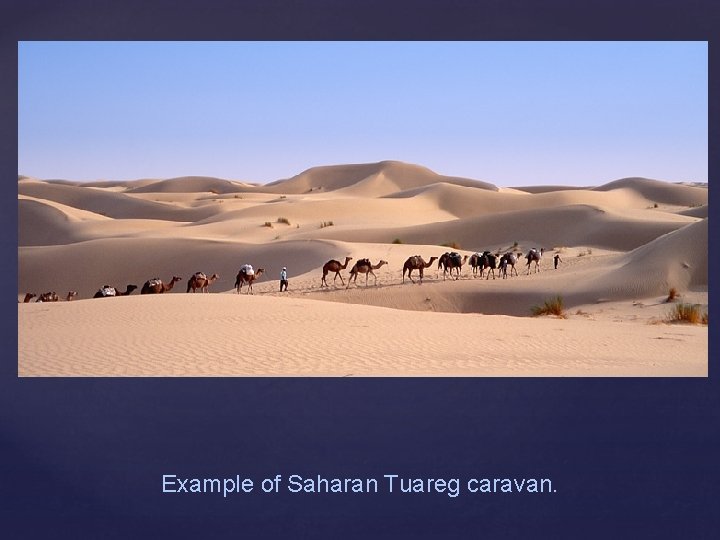 Example of Saharan Tuareg caravan. 