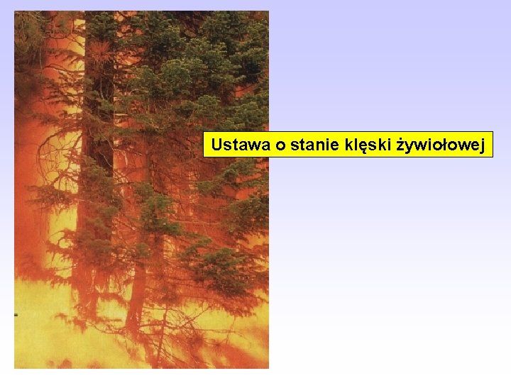 Ustawa o stanie klęski żywiołowej 