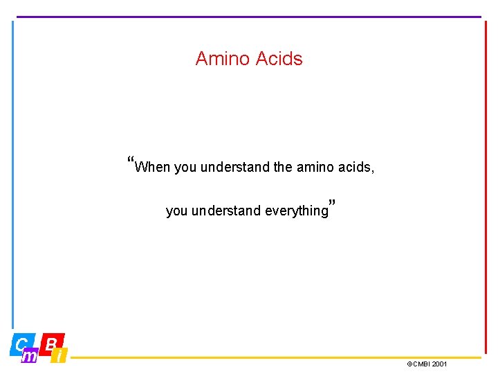 Amino Acids “When you understand the amino acids, you understand everything ” ©CMBI 2001