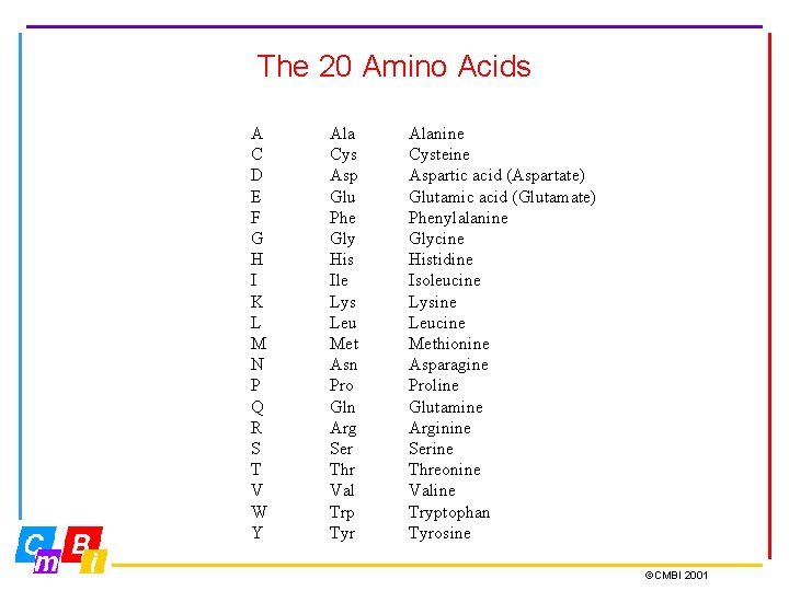 The 20 Amino Acids A C D E F G H I K L