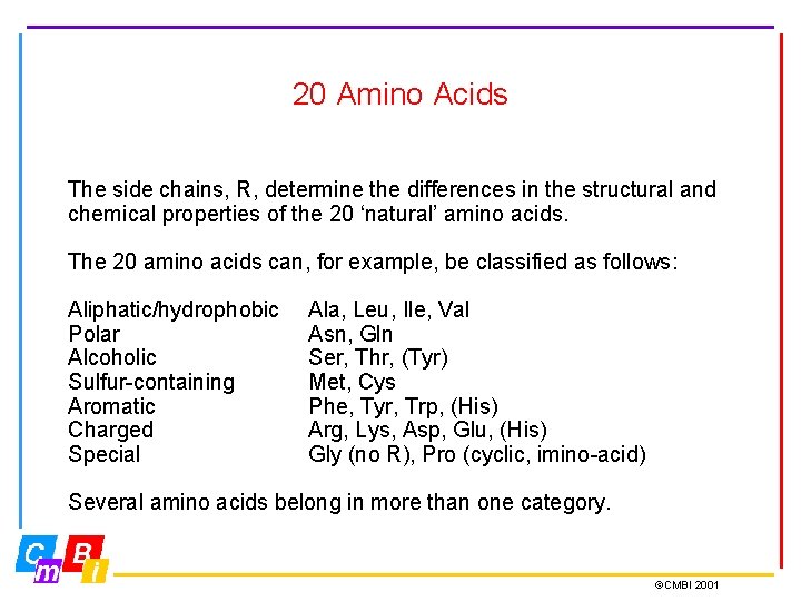 20 Amino Acids The side chains, R, determine the differences in the structural and