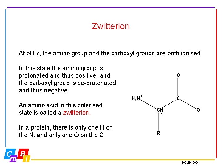 Zwitterion At p. H 7, the amino group and the carboxyl groups are both