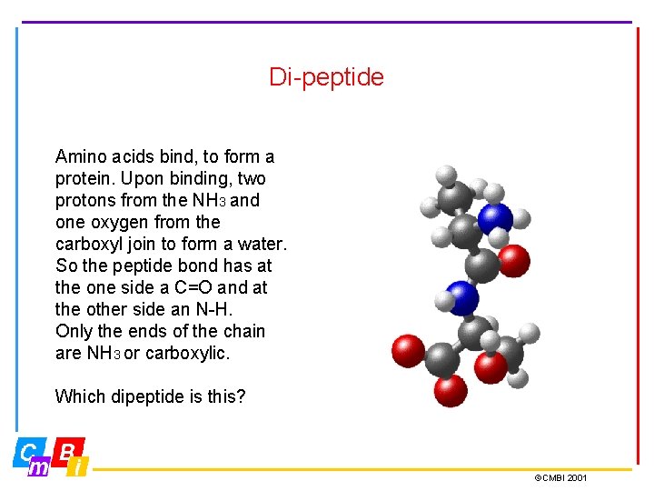 Di-peptide Amino acids bind, to form a protein. Upon binding, two protons from the