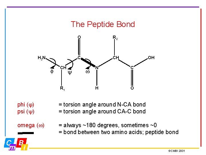 The Peptide Bond H 2 N f CH R 1 O R 2 C