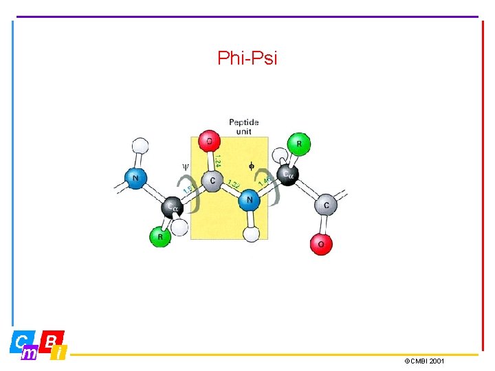 Phi-Psi ©CMBI 2001 