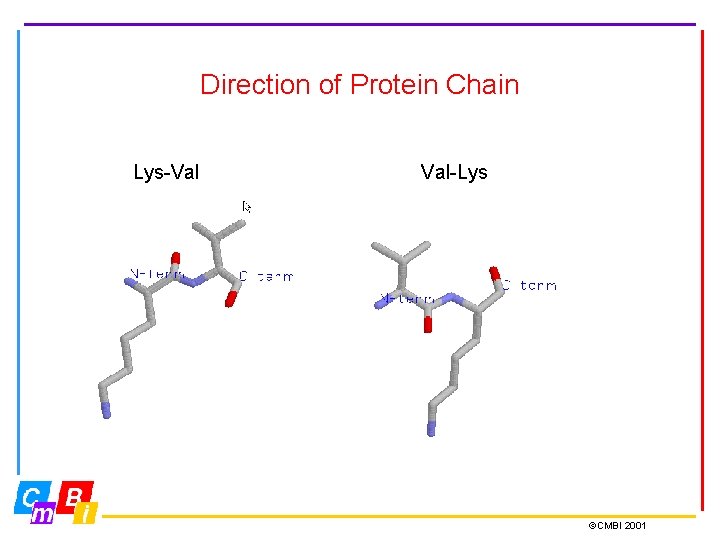Direction of Protein Chain Lys-Val Val-Lys ©CMBI 2001 