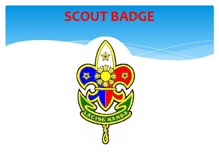 SCOUT BADGE 