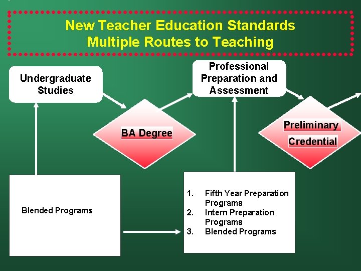 New Teacher Education Standards Multiple Routes to Teaching Professional Preparation and Assessment Undergraduate Studies